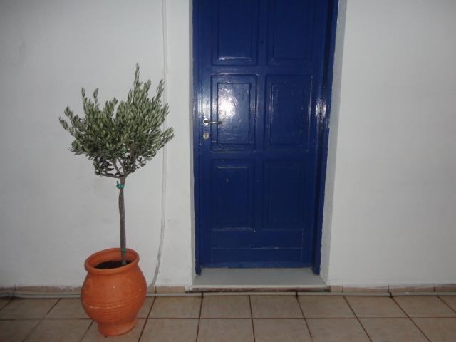 Pavlos Rooms Livadia  Bagian luar foto